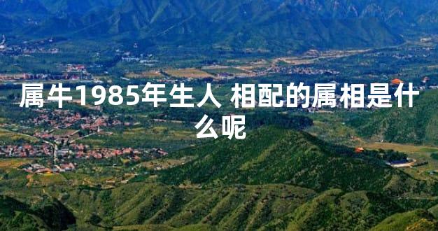 属牛1985年生人 相配的属相是什么呢